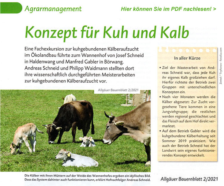 Allgäuer Bauernblatt 02/2021 - Konzept für Kuh und Kalb  